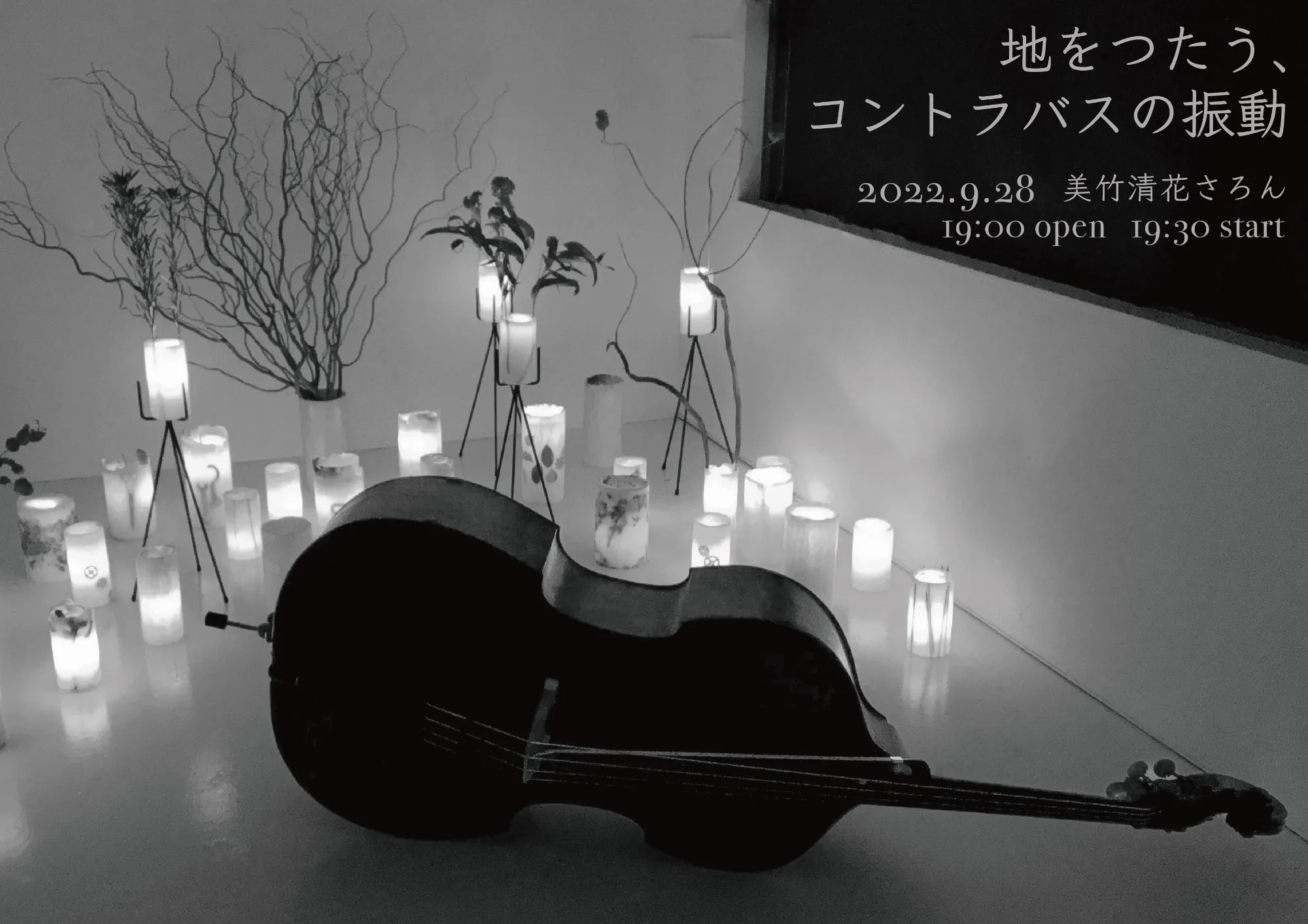 地をつたう、コントラバスの振動 フライヤー