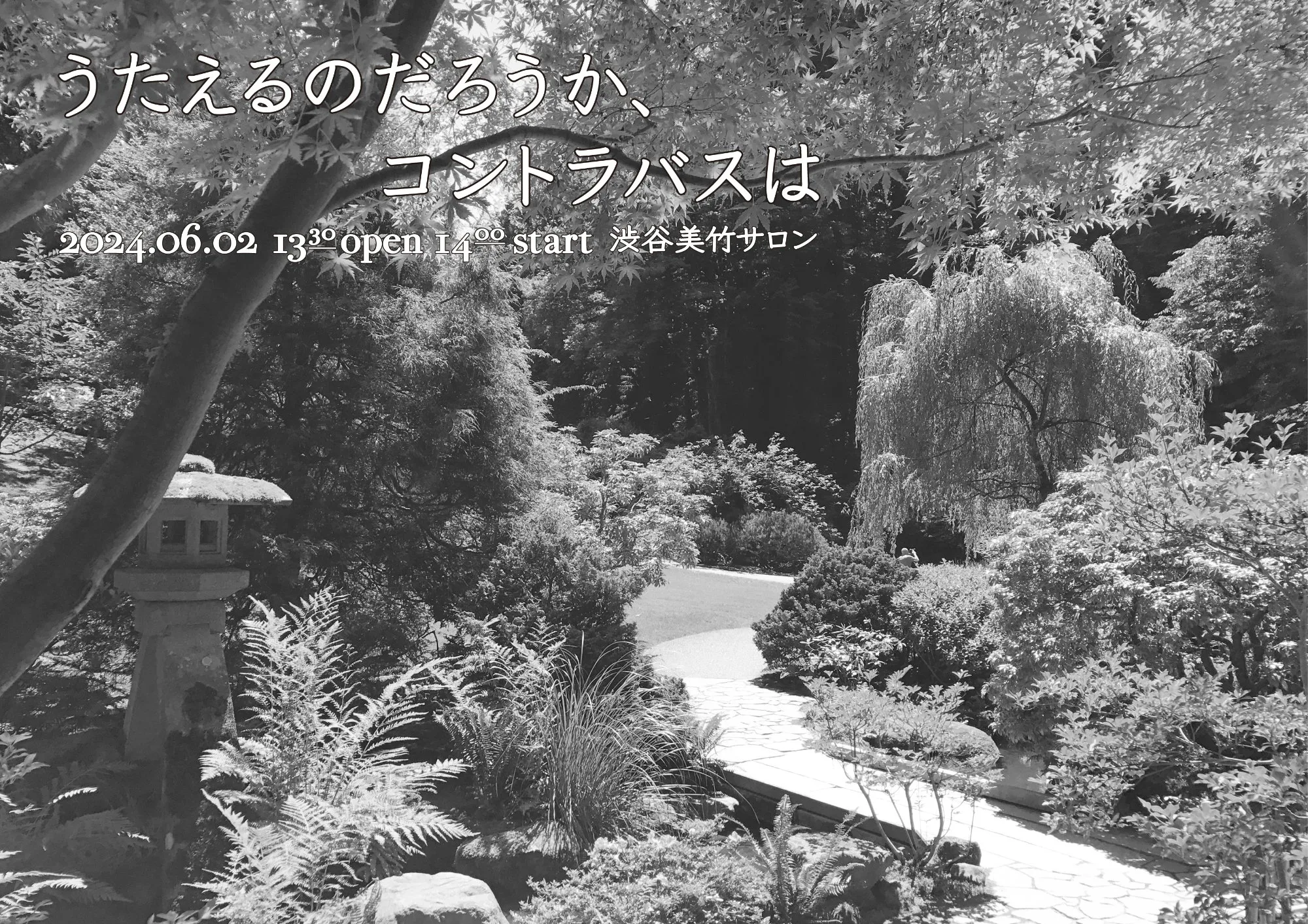 うたえるのだろうか、コントラバスは フライヤー